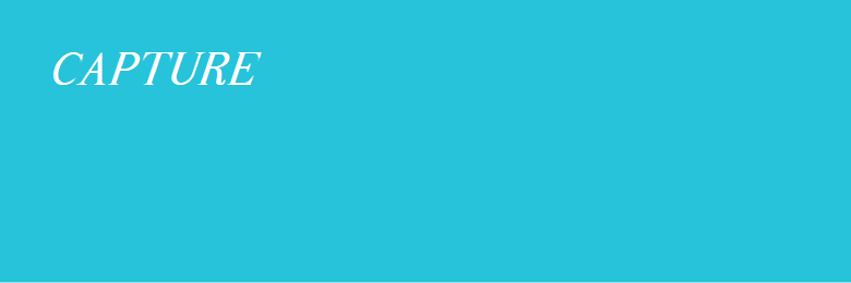 color sample